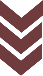 Down Arrow